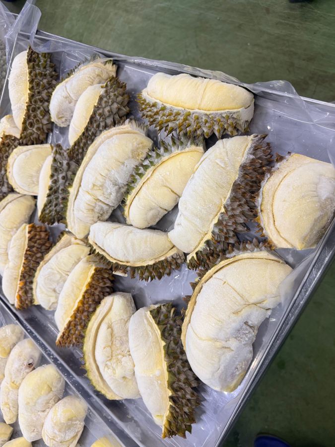 Frozen durian with shell